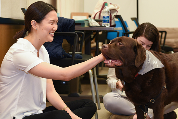 research articles on therapy dogs